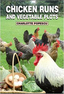 Chicken Runs and Vegetable plots 