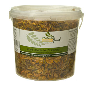 insects for chickens 200g tub