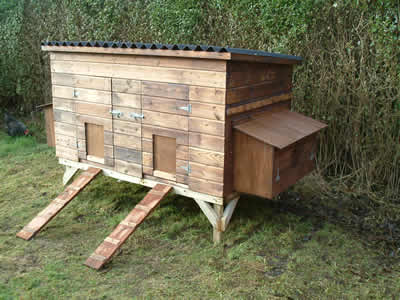 Wycombe chicken house for between 10 and 20 birds