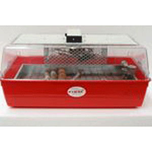 Chicktec Maya Incubator