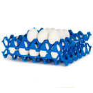 Plastic egg Tray Dark Blue