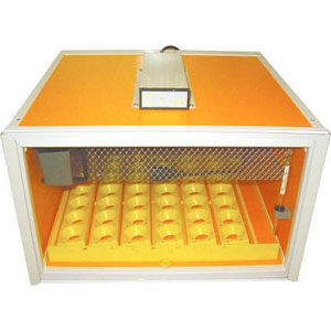 Chicktec Vision 40 incubator Auto