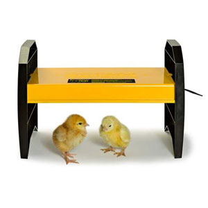 Brinsea Eco Glow 20 Brooder Lamp