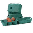 30 x Premium Egg Box Green