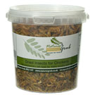 insects for birds 200g tub