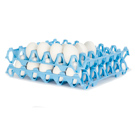 Plastic egg Tray light blue