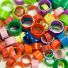 Poultry Leg Rings