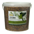 Premium dried Mealworms for Chickens 400g tub