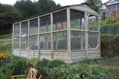 Large Chicken Run with 12