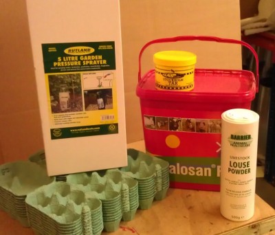 The Easter egg hunt Prize