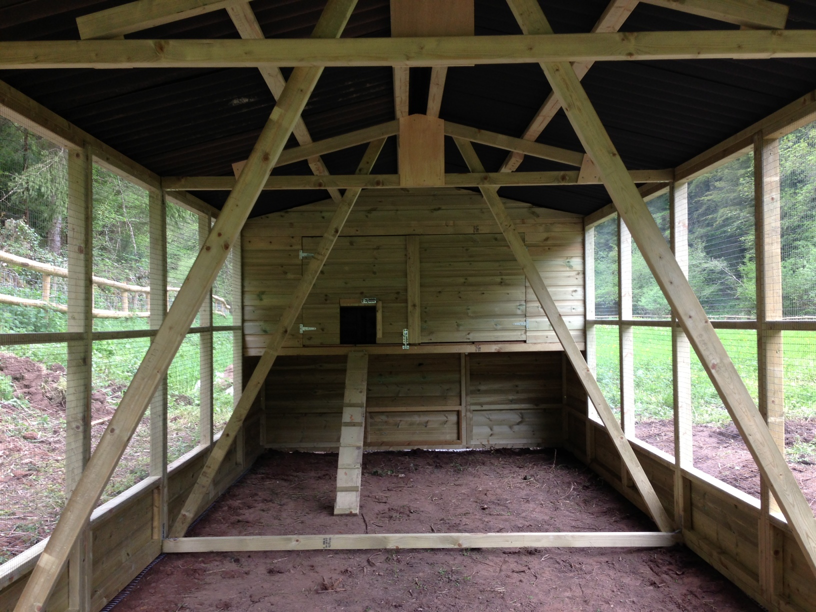 inside the chicken coop and run